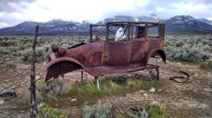 nevada-desert-abandoned-car-horse-skull-driver